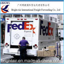 Global Logistics FedEx Post Entrega urgente de China a todo el mundo